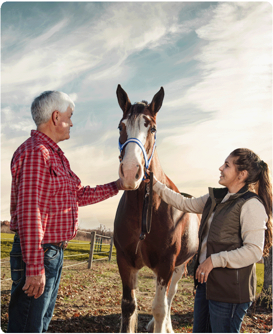 Farm Equipment Loans at OMB Ag Equipment Loans OMB Bank