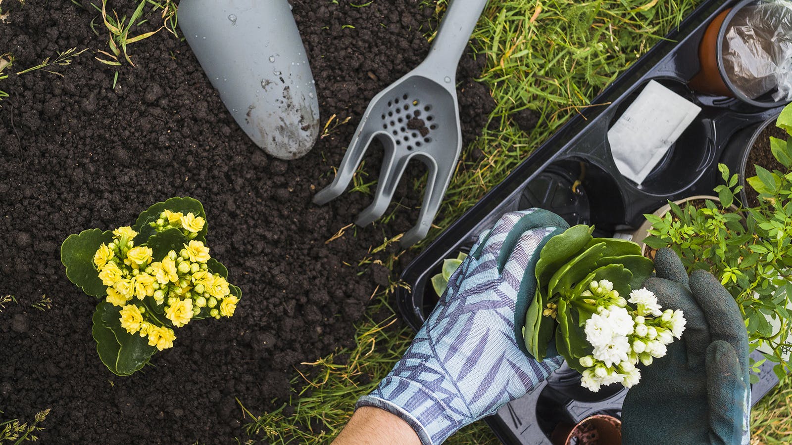 Hands clutching flowerpot, kneeling in a garden with tools and flowers